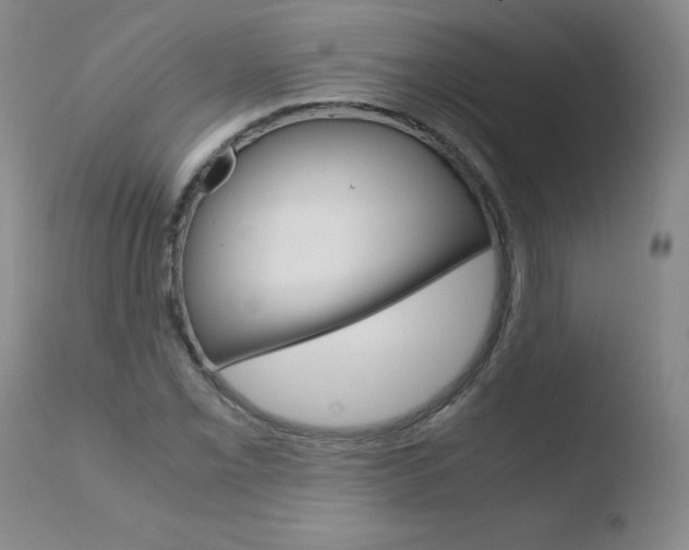 X0000110771069200906150948