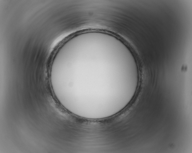X0000110771070200906150948