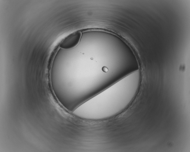 X0000110771072200906150948