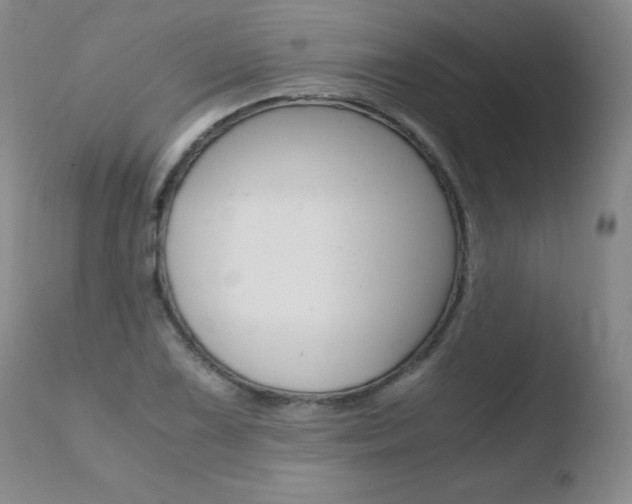 X0000110771075200906150948