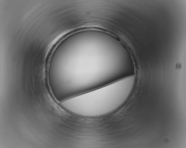 X0000110771076200906150948
