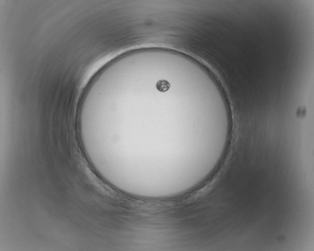 X0000110771077200906150948
