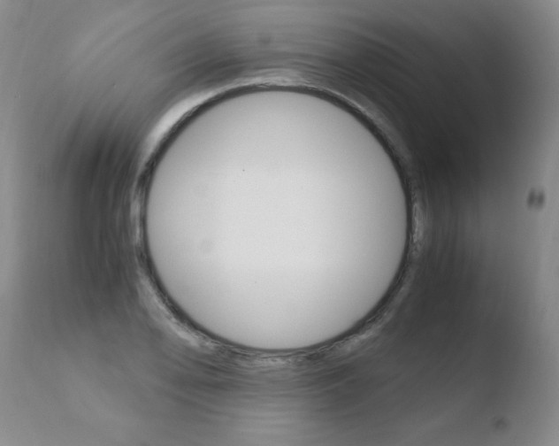 X0000110771078200906150948