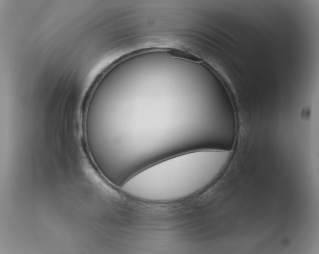 X0000110771080200906150948