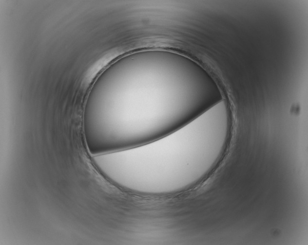 X0000110771081200906150948