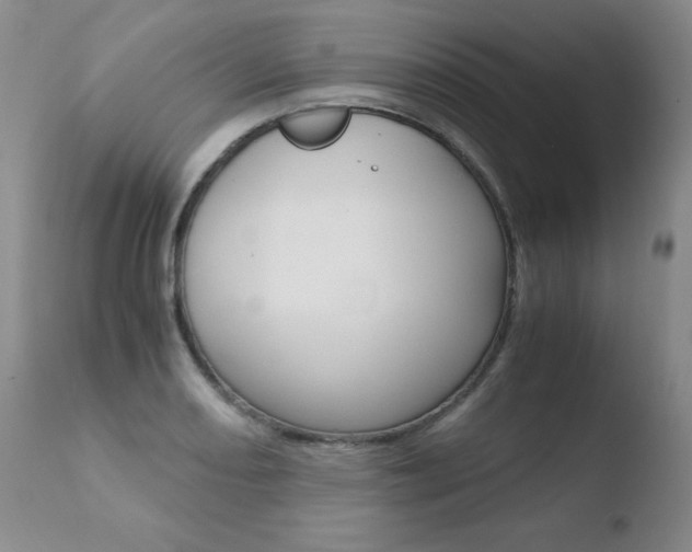 X0000110771082200906150948