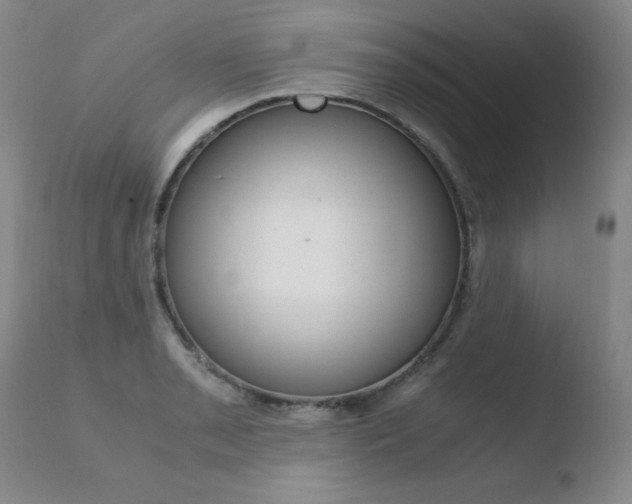 X0000110771085200906150948