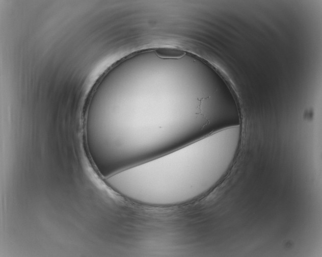 X0000110771088200906150948