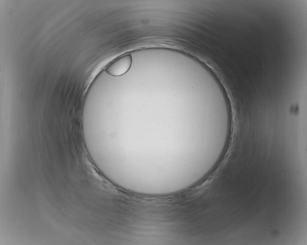 X0000110771089200906150948