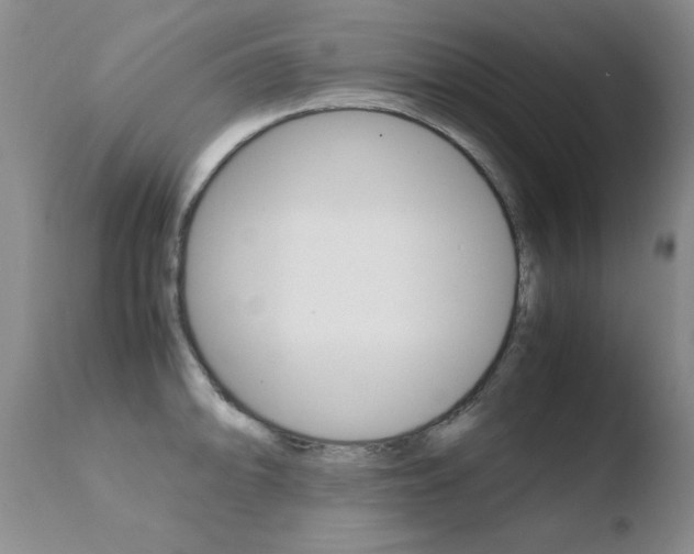 X0000110771094200906150948