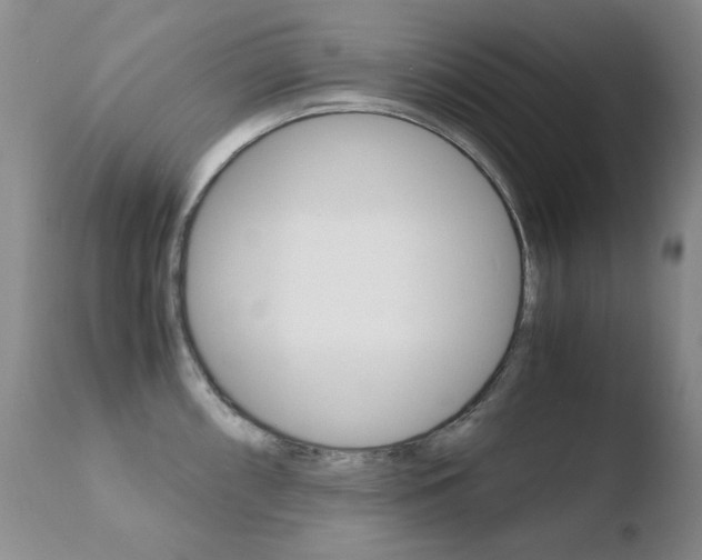 X0000110771098200906150948
