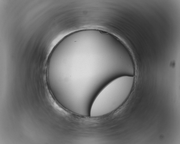 X0000110771102200906150948