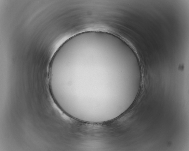 X0000110771103200906150948