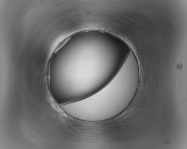 X0000110771104200906150948