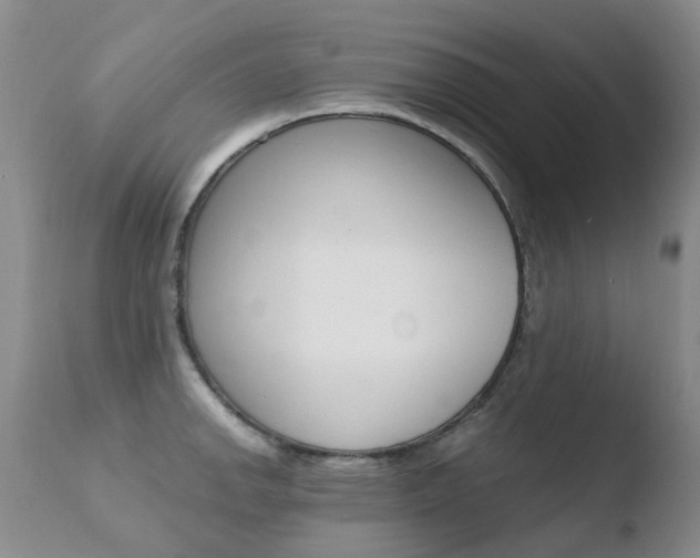 X0000110771142200906150948
