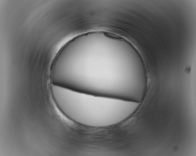 X0000110771143200906150948