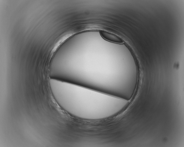 X0000110771145200906150948