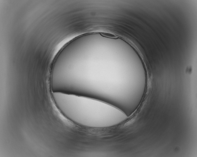 X0000110771149200906150948