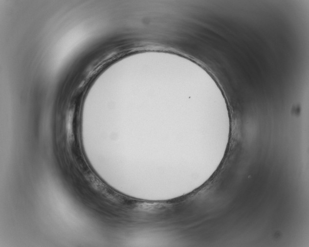X0000110771150200906150948