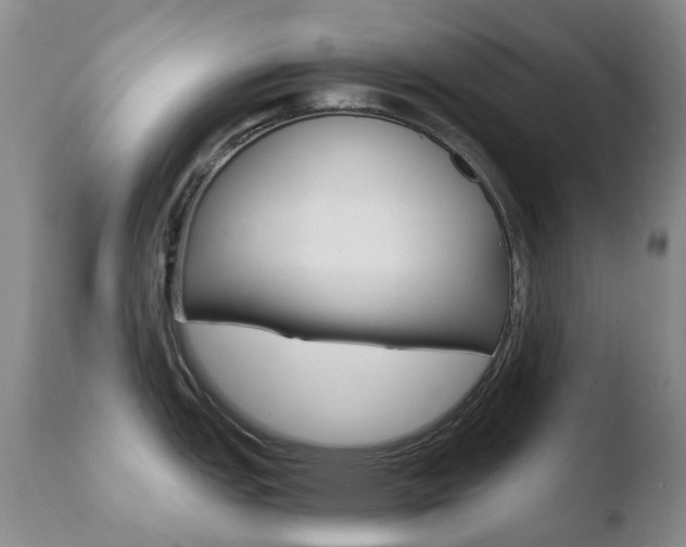 X0000110771151200906150948