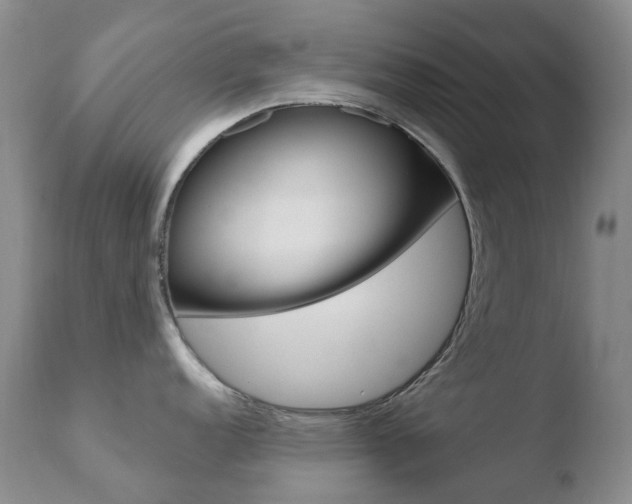X0000110771152200906150948