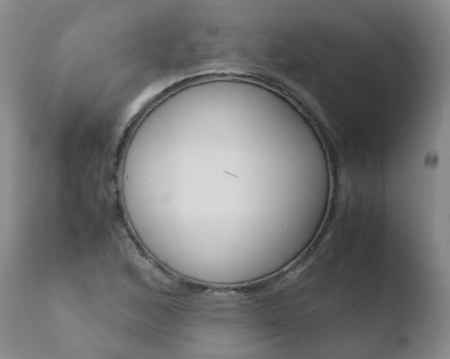 X0000110771168200906150947