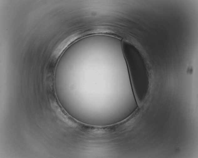 X0000110771177200906150946
