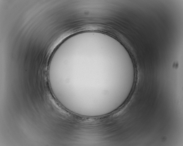 X0000110771178200906150946