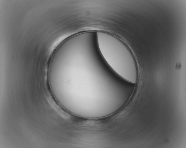 X0000110771179200906150946