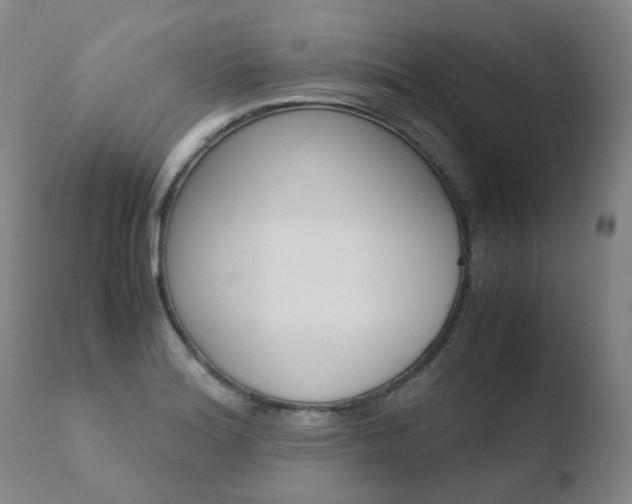 X0000110771180200906150946