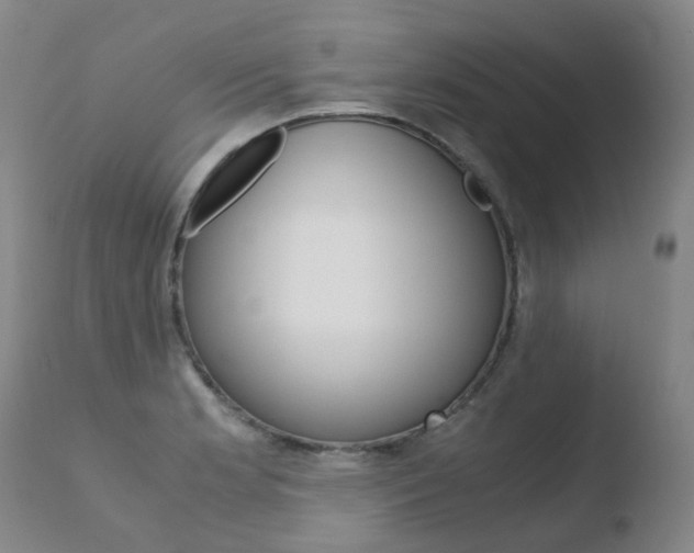 X0000110771181200906150946
