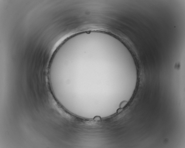 X0000110771182200906150946