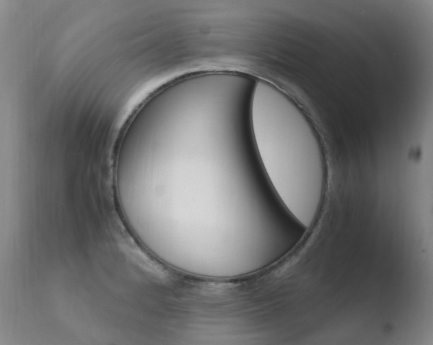 X0000110771184200906150946