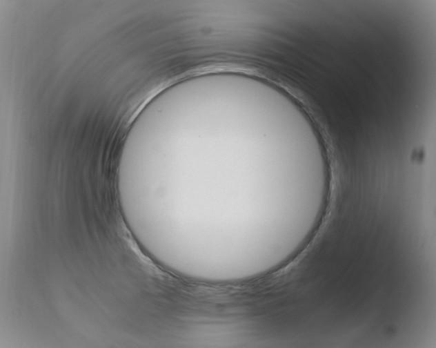 X0000110771185200906150946