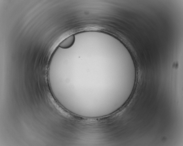 X0000110771186200906150946
