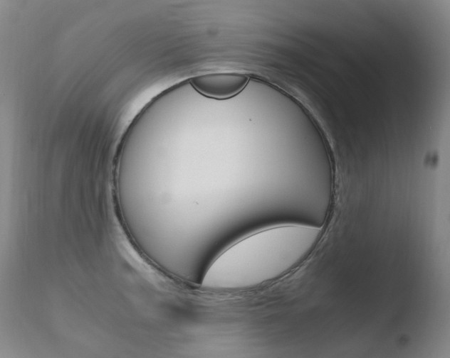 X0000110771187200906150946