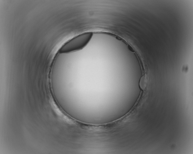 X0000110771189200906150946
