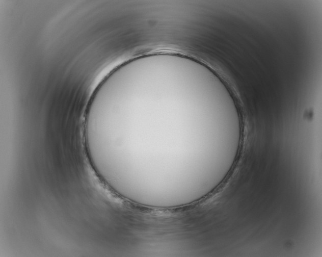 X0000110771190200906150946