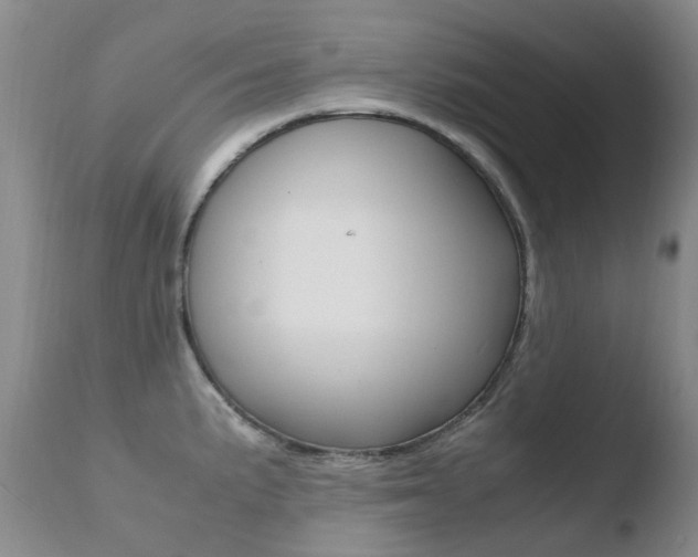 X0000110771191200906150946