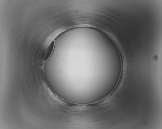 X0000110771193200906150946