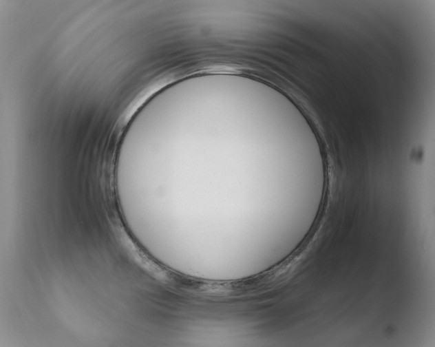 X0000110771194200906150946