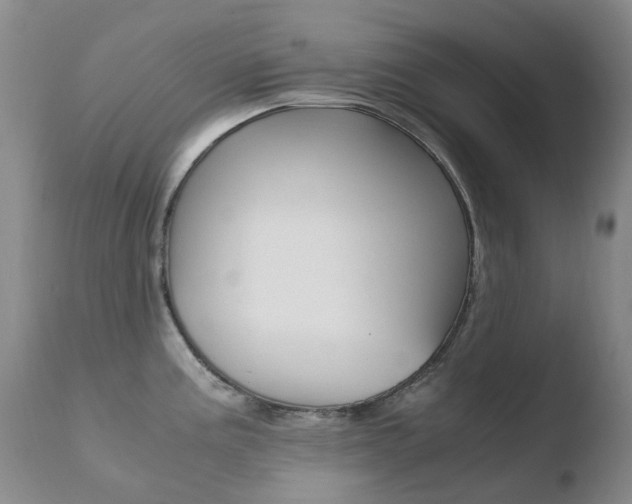 X0000110771195200906150946