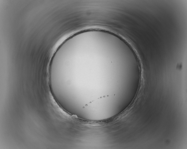 X0000110771199200906150946