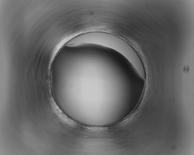 X0000110771200200906150946