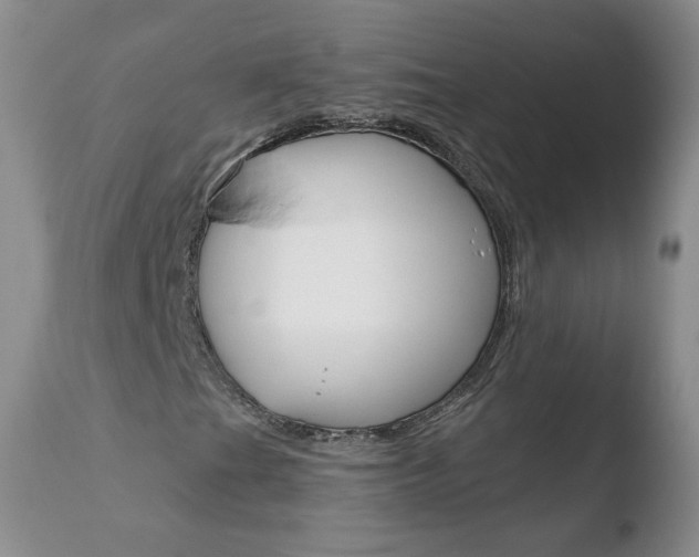 X0000110771201200906150945