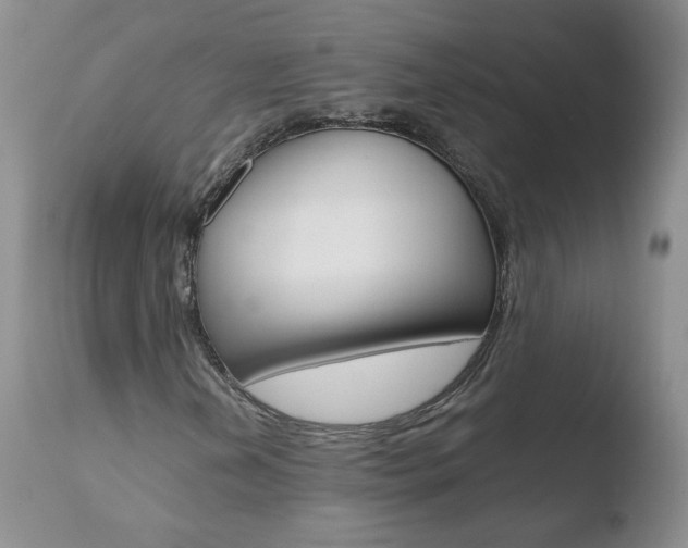 X0000110771202200906150945