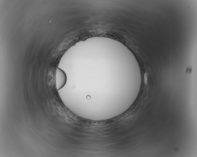 X0000110771203200906150945