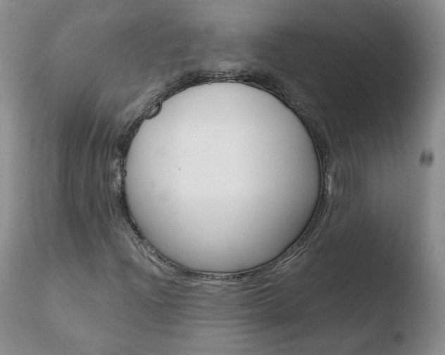 X0000110771204200906150945