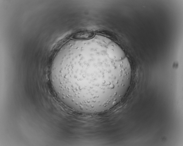 X0000110771205200906150945