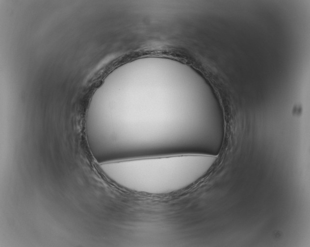 X0000110771206200906150945